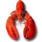 Lobster Mini Season - Last Wednesday & Thursday of July Photo
