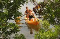 Have a fun-filled day kayaking