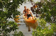 Have a fun-filled day kayaking