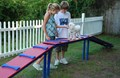 Kamp K9 NEW pet playground!