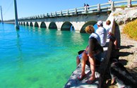 Great fishing right off our bridge