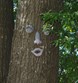 Wildscape Trail Photo