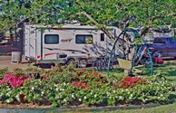 Spring Time in Texarkana
