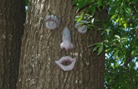 Laughing Willow