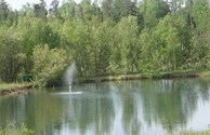 Lucky Pond