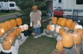 Lots ' o ' Pumpkins