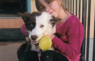 Friendly Pooch