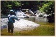 Fishing Photo