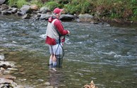 Excellent Fishing on the Little River!