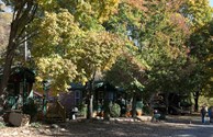 Deluxe studio cabins