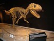 Mesalands Dinosaur Museum Photo