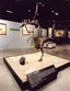 When Dinosaurs Ruled the Earth! Photo