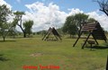 Grassy tent sites