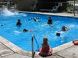 Swimming Pool Photo
