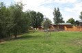 Cabins by Pond