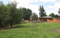 Cabins by Pond