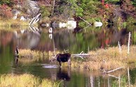 Hiking on Zealand Trail