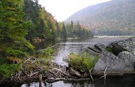 Saco Lake
