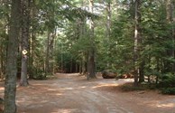 Tent Camping Area