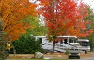 Autumn Trees Ablaze