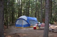 Tenting in the tall pines