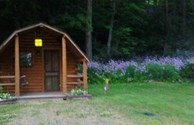 cabin 2 & 3 flowers