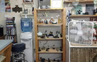 Store pics