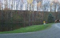 The hillside before the leaves fill in