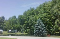 pond