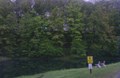 Hillside after leaves grow in