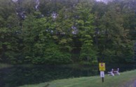 Hillside after leaves grow in