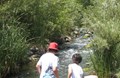 Stream at Campground.