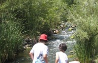Stream at Campground.