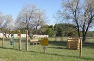 Let your Dog Romp Off-Leash!