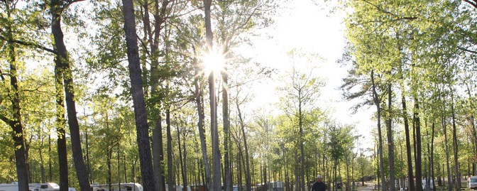 Virginia Beach Virginia Campground Virginia Beach Koa