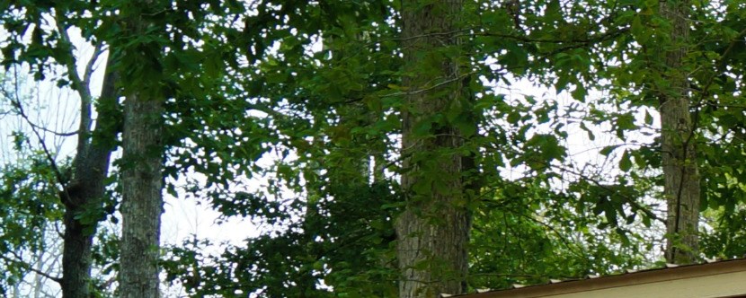 Virginia Beach Virginia Campground Virginia Beach Koa