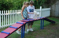 Kamp K9 pet playground!