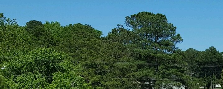 Virginia Beach Virginia Campground Virginia Beach Koa