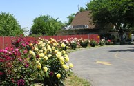 Kampground Entrance