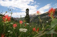 Valley in King's Canyon