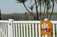 K9 Dog Park