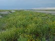 Smoky Valley Scenic Byway Photo