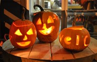 Fall Fun for Everyone