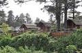 Creekside View Kabins