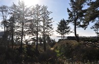 Our Trail to the Bay Beach