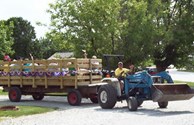 Enjoy a Hay Ride