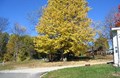 Fall is coming