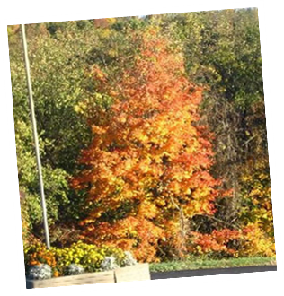 beautiful fall day