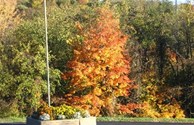 beautiful fall day