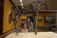 Rockwell Museum in Corning, NY Photo